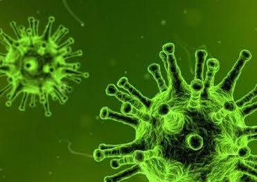 México registra el primer caso de influenza AH3N2 subclado K confirmado por Salud