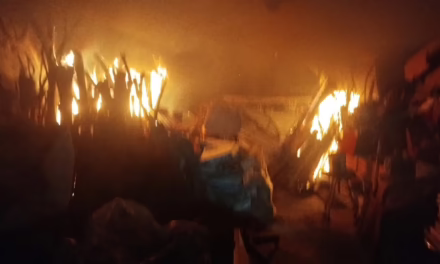 Incendio en área verde de la Colonia Progreso Macuiltépec alerta a vecinos