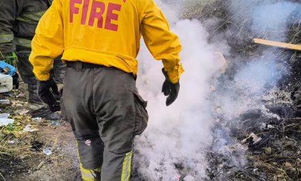 Bomberos controlan incendio de pastizal en la zona de Valle Real