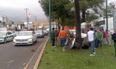 Conductor prensado tras impacto de camioneta de gas contra árbol en Las Trancas