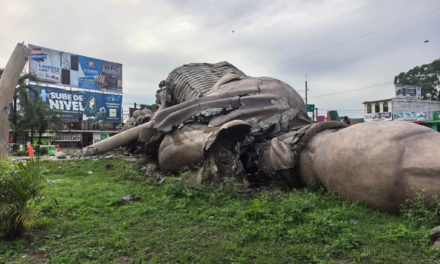 Video: Se derrumba el Colotero de Álamo, un símbolo emblemático de ese municipio