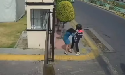 Video: Asalto en fraccionamiento Las Américas del Estado de México 