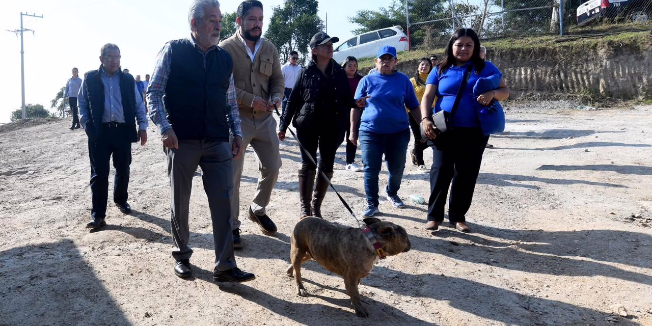 Xalapa, referente en bienestar animal