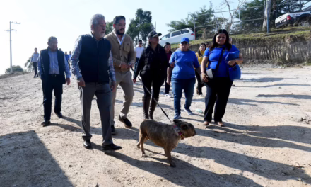 Xalapa, referente en bienestar animal