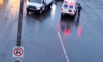 Aparatoso accidente en el Bulevar Xalapa-Banderilla: auto impacta contra camellón