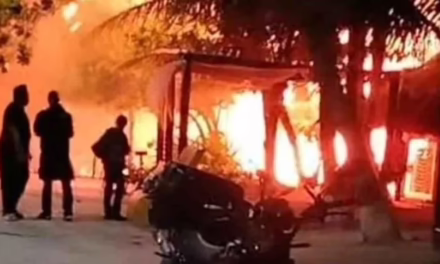 Video:Incendio en Navidad arrasa 50 palapas en Mahahual, al sur de Quintana Roo