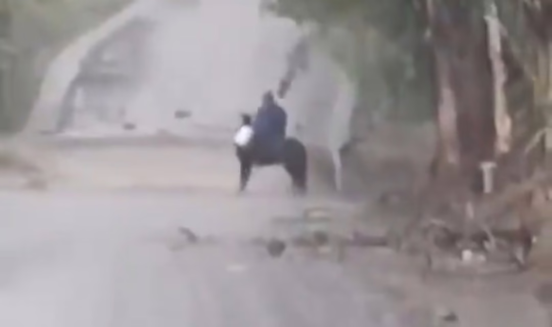 Tras varias horas de búsqueda, fue localizado sin vida Panuncio de 62 años, quien desapareció la mañana del 25 de diciembre al intentar cruzar puente inundado en Veracruz