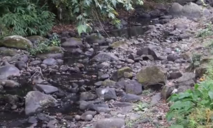 Localizan cuerpo sin vida flotando en el río Sedeño, en Xalapa