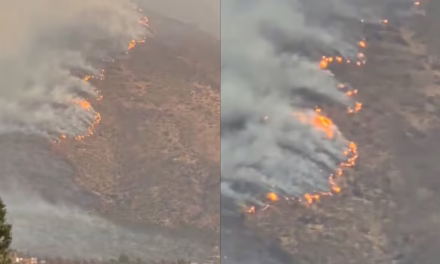 VIDEO: EMERGENCIA AMBIENTAL EN SAN CARLOS DE APOQUINDO, CHILE 