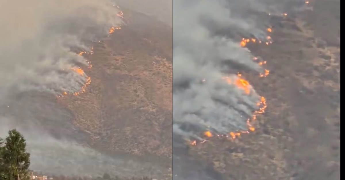 VIDEO: EMERGENCIA AMBIENTAL EN SAN CARLOS DE APOQUINDO, CHILE 