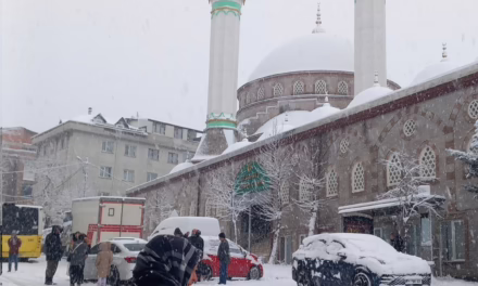  Video:El sureste de Turquía está experimentando impresionantes nevadas
