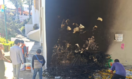 Sujeto prende fuego a los adornos navideños del centro de Xalapa