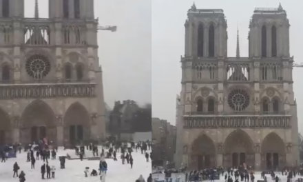 VIDEO:ASÍ LUCE LA CATEDRAL DE NOTRE DAME TRAS LA NEVADA EN PARÍS 