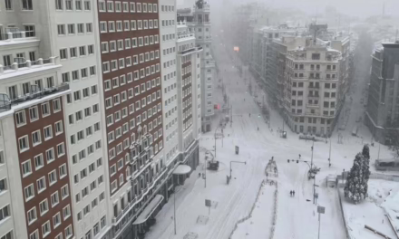 Video:Temporal invernal causa 5 muertos en Francia y caos en transporte europeo