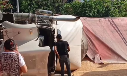 Cerrada la carretera Misantla-Vega de Alatorre por volcadura de tractocamión cargado con maíz