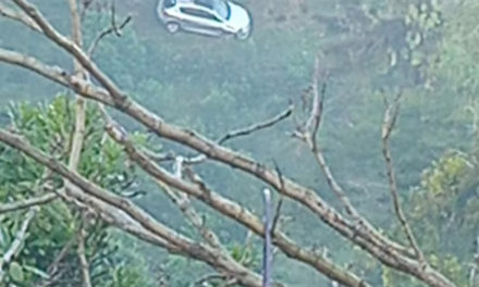 Se sale de la carretera en la vía Totutla–Xalapa; cuerpos de emergencia se movilizan