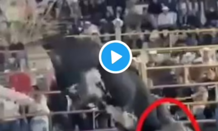 ¡Imágenes impactantes! Un jinete resultó gravemente herido en jaripeo en Huehuetlán el Chico, Puebla.