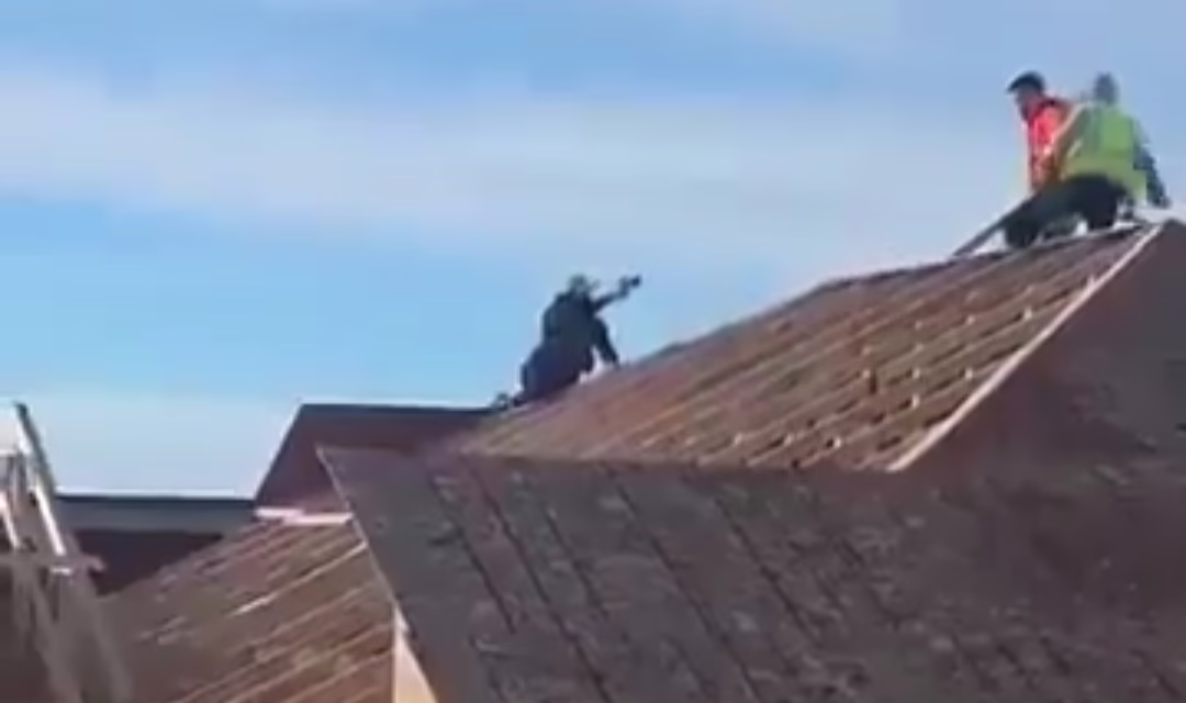 Video: Agentes federales realizan detención en Minneapolis