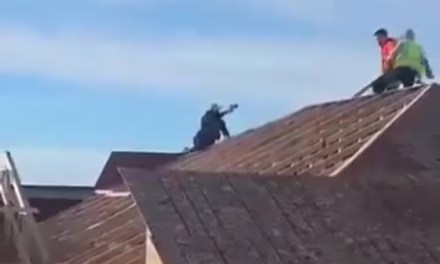 Video: Agentes federales realizan detención en Minneapolis