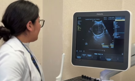 Salud Materna y Perinatal, acompañamiento médico y redes de apoyo