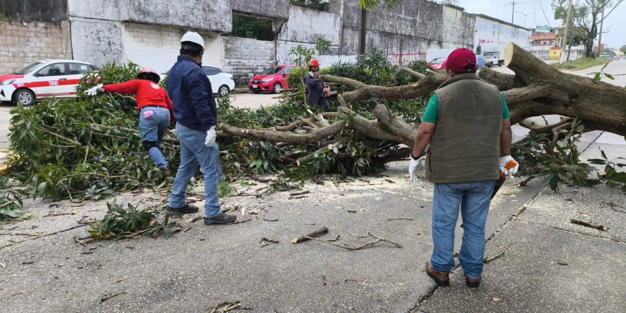 Vigilancia y atención permanente por Frente Frío 27: PC