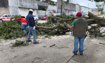 Vigilancia y atención permanente por Frente Frío 27: PC
