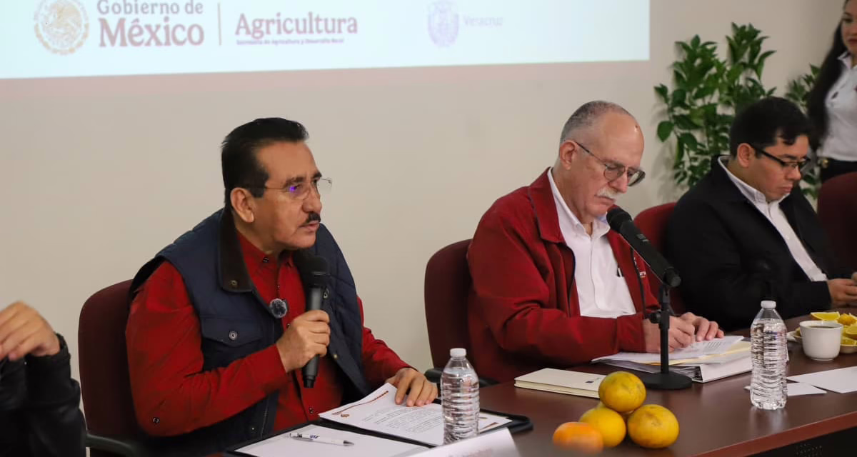 SADER y Sedarpa anuncian Plan para recuperar la citricultura en la zona norte