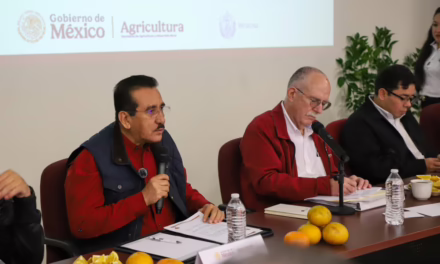 SADER y Sedarpa anuncian Plan para recuperar la citricultura en la zona norte