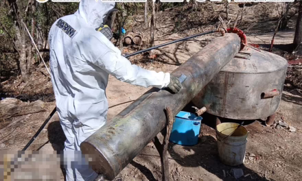 Secretaría de Marina  desmanteló tres laboratorios clandestinos para la elaboración de metanfetaminas en Michoacán, Durango y Sinaloa