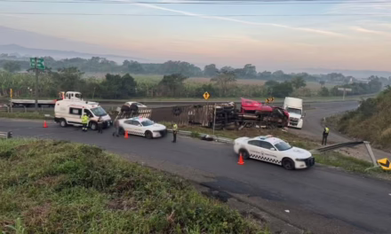 Vuelca tractocamión cargado de plátanos en la carretera Tihuatlán–El Palmar