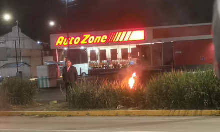 Video:Reportan incendio provocado en el camellón de la Avenida Lázaro Cárdenas