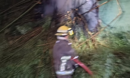 Bomberos de Xalapa sofocan incendio de pastizal en la colonia Tabasco; quema de basura originó el siniestro