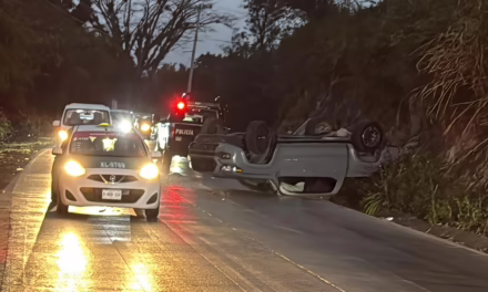 Familia sobrevive a volcadura en la carretera Las Trancas-Coatepec