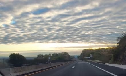 En el transcurso de esta jornada, la entidad veracruzana estará bajo la influencia de la masa de aire frío que dio impulso al frente 29