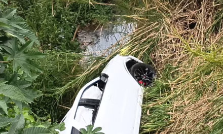 Se voltea camioneta en la carretera Xalapa-Coatepec, a la altura de Paso Ladrillo.