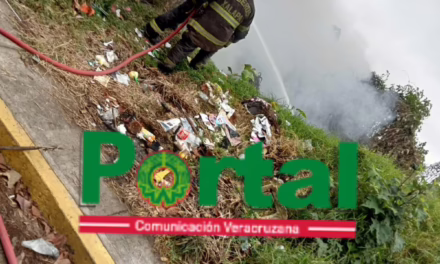 MOVILIZACIÓN EN LA COLONIA CONSTITUYENTES: Bomberos sofocan incendio de pastizal