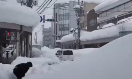 Video: Preocupación por la gran cantidad de nieve acumulada en la región de Aomori Japón