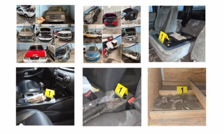 En Veracruz, acción coordinada con Fuerzas Federales y Estatales permite cateo y aseguramiento de vehículos con alteraciones