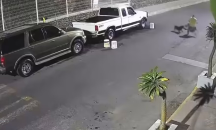 Video: Hombre es atacado por tres pitbulls