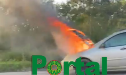 Video;Se incendia camioneta en la carretera Xalapa-Veracruz