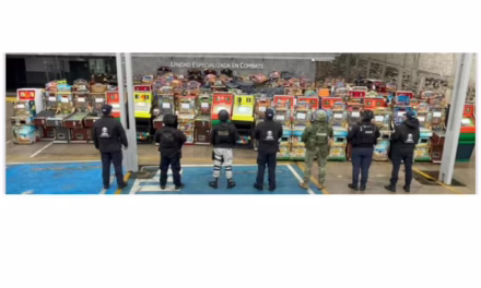 En Xalapa, FGE, Fuerzas Federales y Estatales aseguran 180 máquinas tragamonedas durante cateos en 15 establecimientos