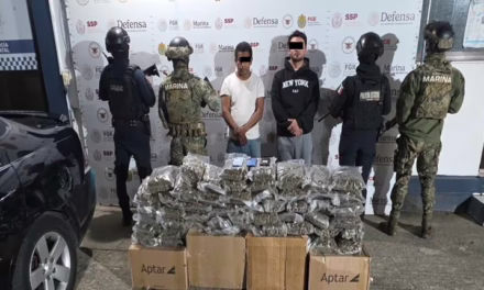 Decomisa SSP más de 28 kilos de presunta marihuana y 147 dosis de diversos estupefacientes durante el fin de semana