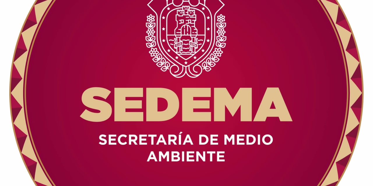 Sedema alerta sobre convocatoria no oficial