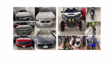 Vehículos asegurados en operativo de cateo con fuerzas federales y estatales en Medellín de Bravo