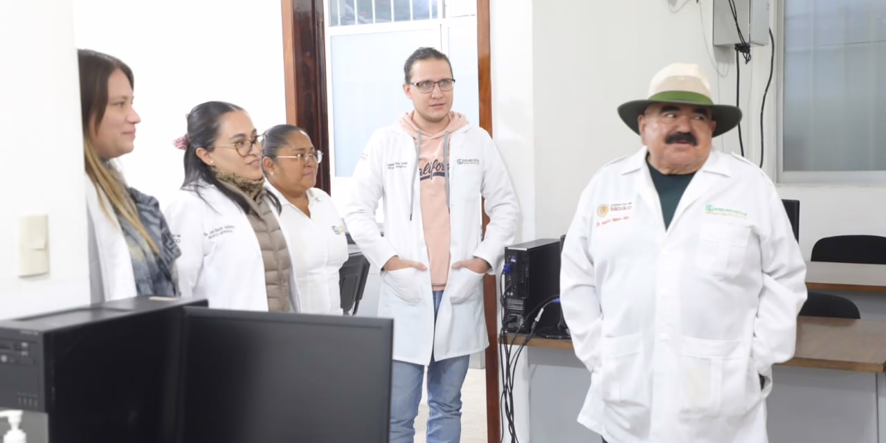 Más de 76 mil medicamentos llegan a la región Córdoba-Yanga para garantizar abasto