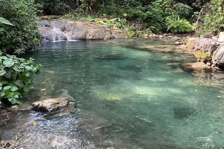 Propone estudiante UV decretar área natural protegida en Rinconada