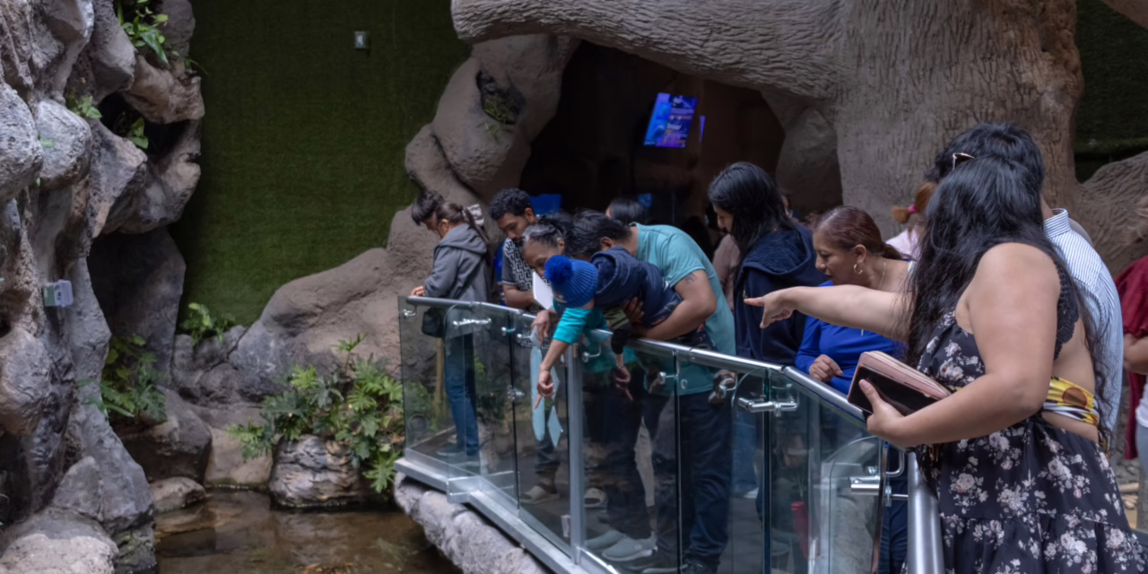 Por Carnaval, tendrá Aquarium horario especial del 14 al 17 de febrero