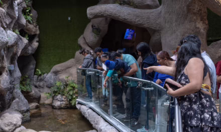 Por Carnaval, tendrá Aquarium horario especial del 14 al 17 de febrero