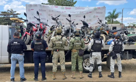 SSP decomisa 137 dosis de estupefacientes y aprehende a 27 personas