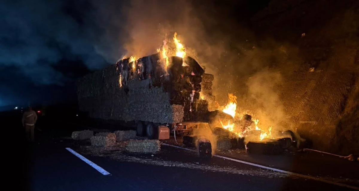 Video:Cierre total en la autopista Perote-Xalapa por incendio de tractocamión